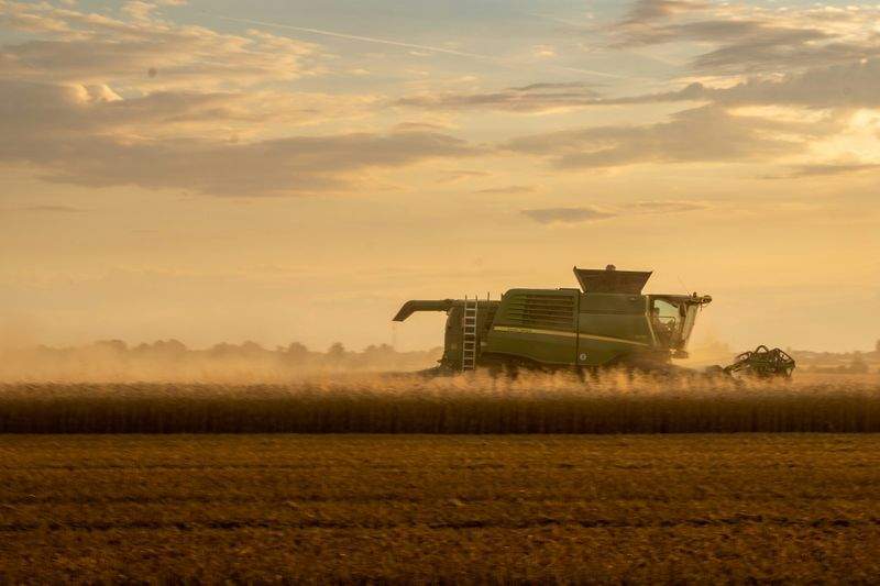 Claves para mejorar la salud del suelo en explotaciones agrícolas