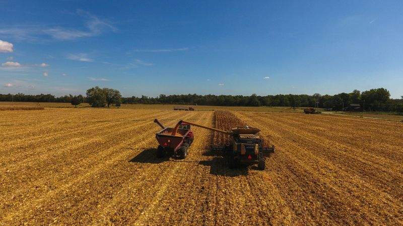 Asesoramiento técnico agronómico
